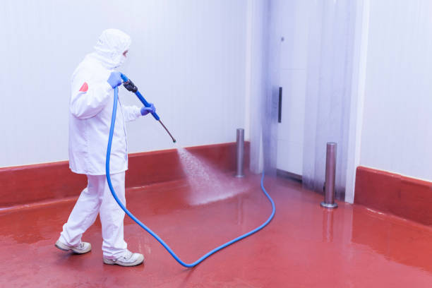 Pre-Holiday Cleaning in Methuen Town, MA